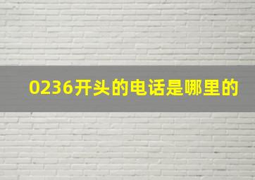 0236开头的电话是哪里的