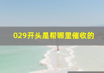 029开头是帮哪里催收的