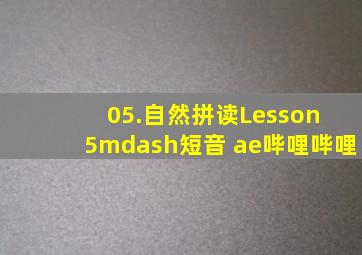 05.自然拼读Lesson 5—短音 ae哔哩哔哩