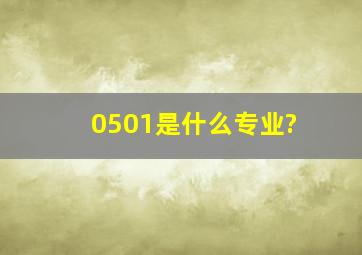 0501是什么专业?