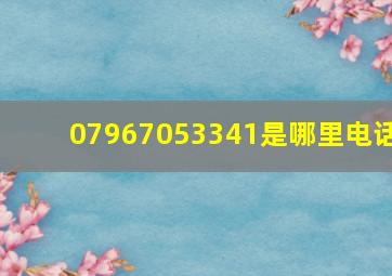 07967053341是哪里电话