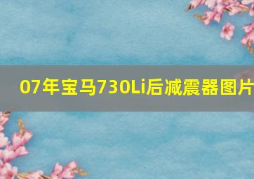 07年宝马730Li后减震器图片