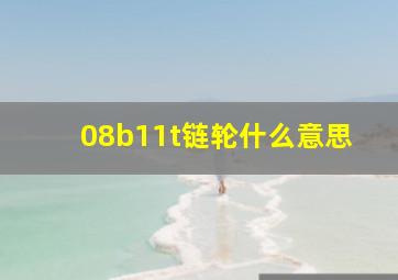 08b11t链轮什么意思