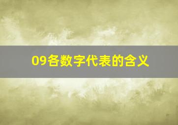 09各数字代表的含义