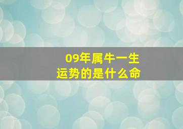 09年属牛一生运势的是什么命