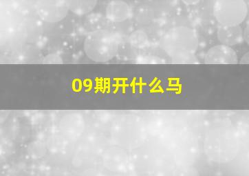 09期开什么马