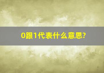 0跟1代表什么意思?