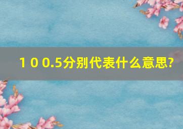 1 0 0.5分别代表什么意思?