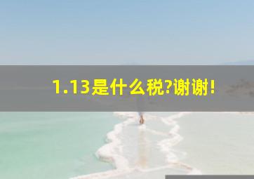 1.13是什么税?谢谢!