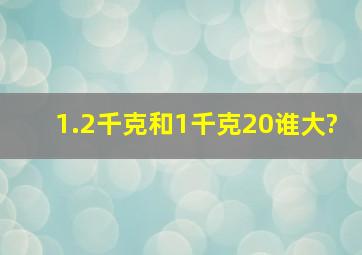 1.2千克和1千克20谁大?