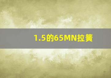 1.5的65MN拉簧