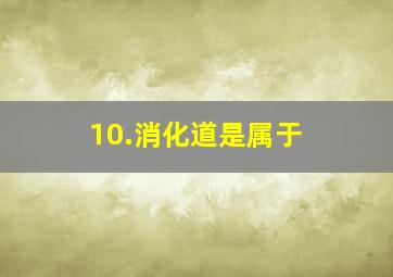 10.消化道是属于( )