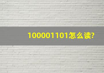 100001101怎么读?