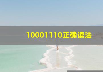 10001110正确读法