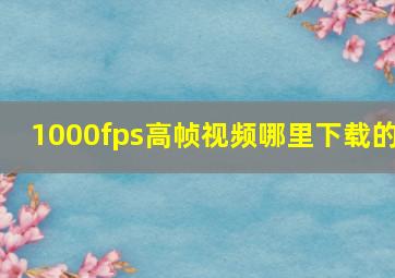 1000fps高帧视频哪里下载的