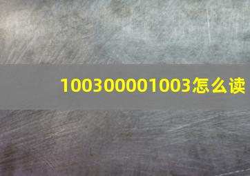 100300001003怎么读