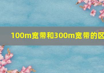 100m宽带和300m宽带的区别