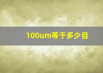 100um等于多少目