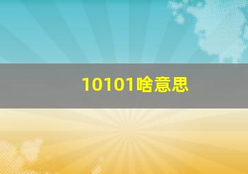 10101啥意思