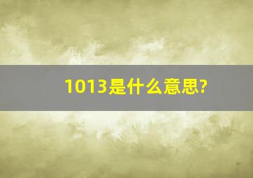 1013是什么意思?