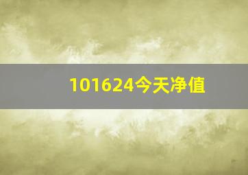 101624今天净值