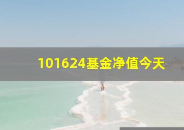 101624基金净值今天