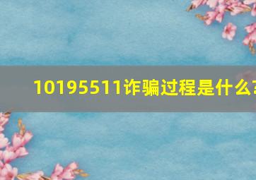 10195511诈骗过程是什么?