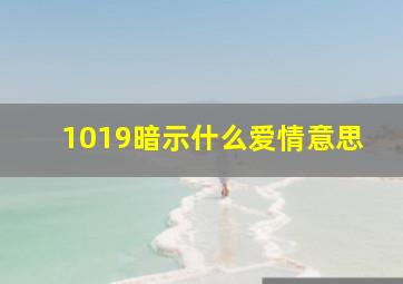 1019暗示什么爱情意思(