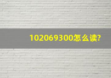 102069300怎么读?