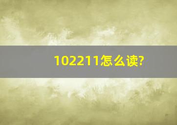 102211怎么读?