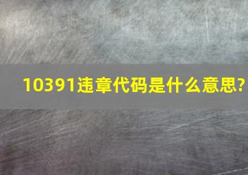 10391违章代码是什么意思?