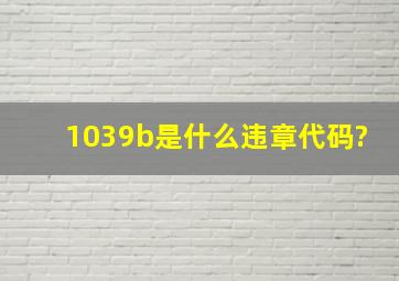 1039b是什么违章代码?