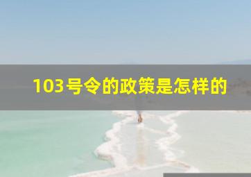 103号令的政策是怎样的(