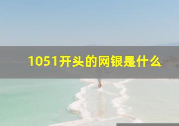 1051开头的网银是什么(