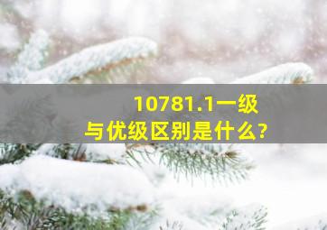 10781.1一级与优级区别是什么?