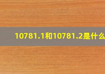 10781.1和10781.2是什么酒(