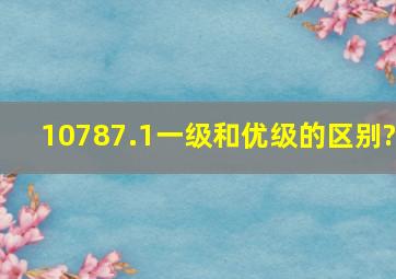 10787.1一级和优级的区别?