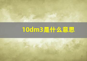 10dm3是什么意思