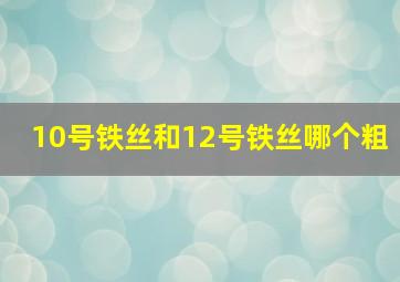 10号铁丝和12号铁丝哪个粗