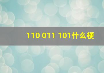 110 011 101什么梗