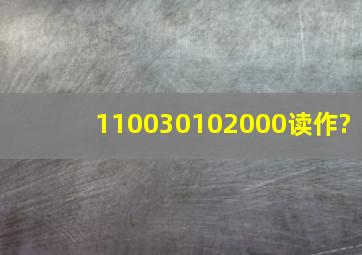 110030102000读作?