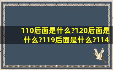 110后面是什么?120后面是什么?119后面是什么?114 , 10000 ,等数字...