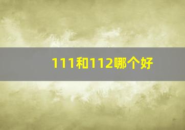 111和112哪个好