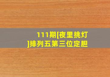 111期[夜里挑灯]排列五第三位定胆 