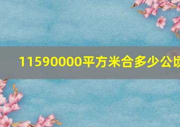 11590000平方米合多少公顷