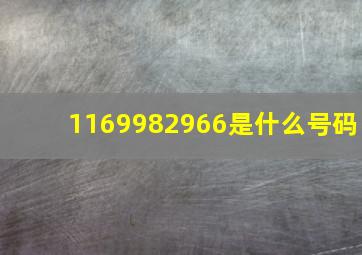 1169982966是什么号码