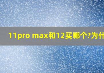 11pro max和12买哪个?为什么?