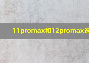 11promax和12promax选哪个?