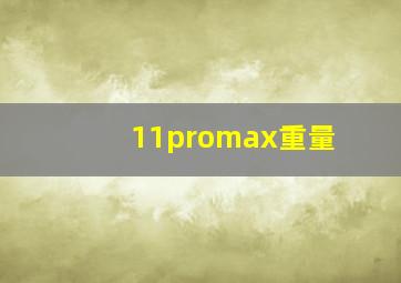 11promax重量