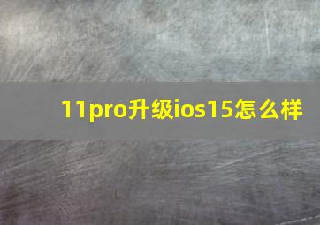 11pro升级ios15怎么样(